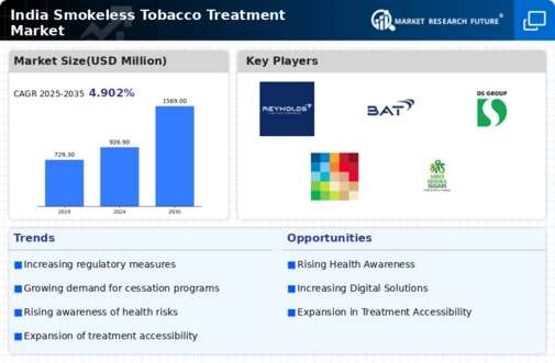 India Smokeless Tobacco Treatment Market Infographic