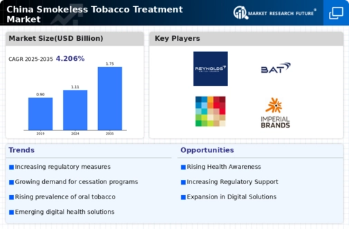 China Smokeless Tobacco Treatment Market Infographic
