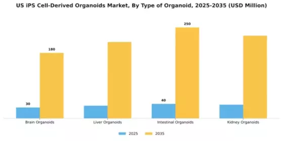US iPS Cell Derived Organoids Market Segment Image 3