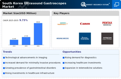 South Korea Ultrasound Gastroscopes Market Infographic