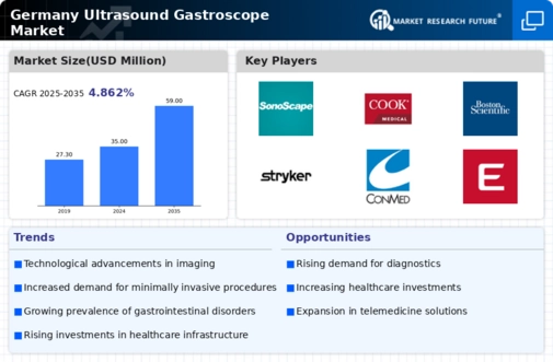Germany Ultrasound Gastroscopes Market Infographic