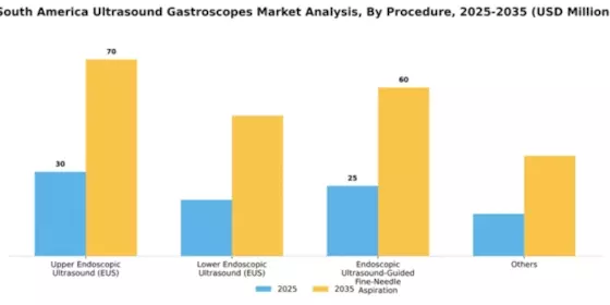 South America Ultrasound Gastroscopes Market Segment Image 2