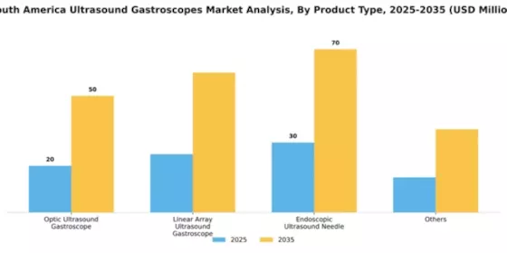 South America Ultrasound Gastroscopes Market Segment Image 3