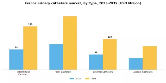 France Urinary Catheters Market Segment Image 3