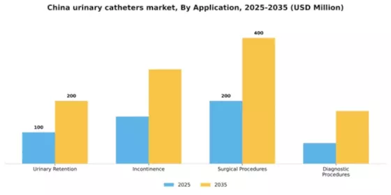 China Urinary Catheters Market Segment Image 0