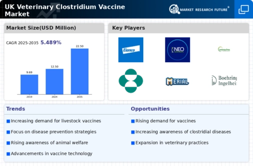 UK Veterinary Clostridium Vaccine Market Infographic