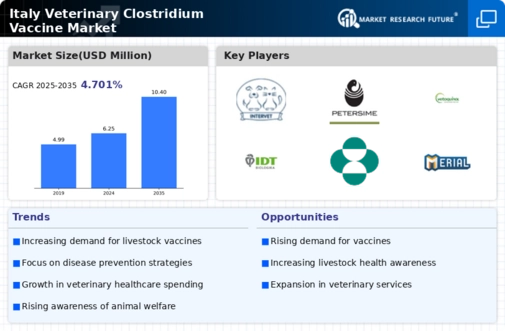 Italy Veterinary Clostridium Vaccine Market Infographic