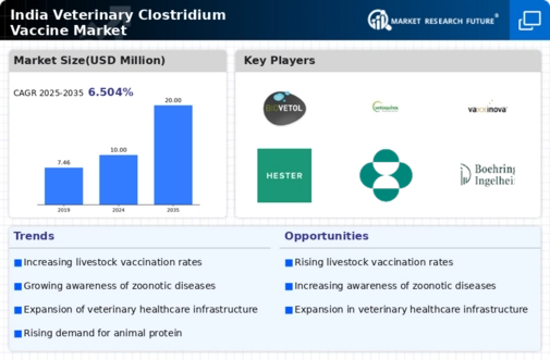 India Veterinary Clostridium Vaccine Market Infographic