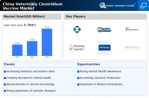 China Veterinary Clostridium Vaccine Market Infographic China Veterinary Clostridium Vaccine Market Infographic