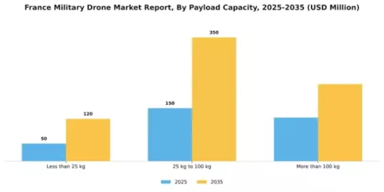 France Military Drone Market Segment Image 2