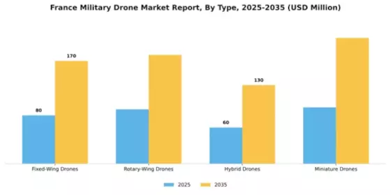 France Military Drone Market Segment Image 3