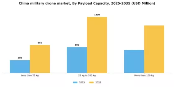 China Military Drone Market Segment Image 2