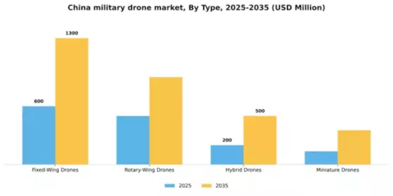 China Military Drone Market Segment Image 3
