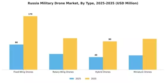 Russia Military Drone Market Segment Image 3
