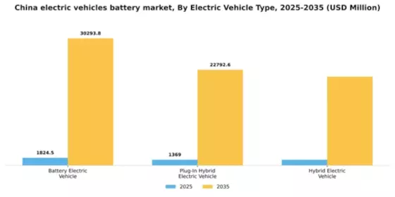 China Electric Vehicles Battery Market Segment Image 3
