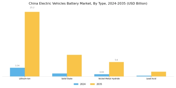 China Electric Vehicles Battery Market Segment Image 0