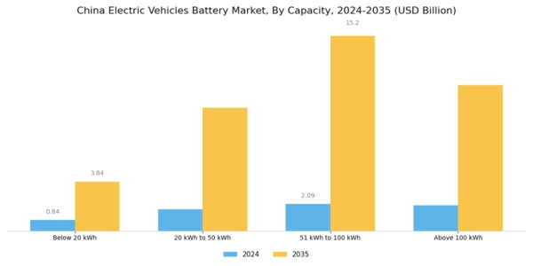 China Electric Vehicles Battery Market Segment Image 3