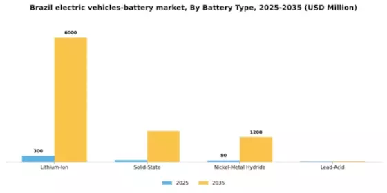 Brazil Electric Vehicles Battery Market Segment Image 1