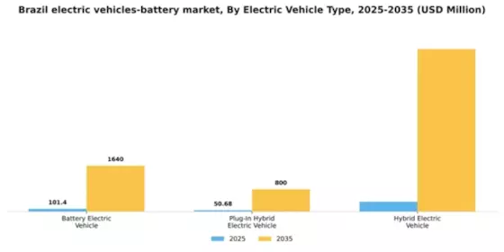 Brazil Electric Vehicles Battery Market Segment Image 3