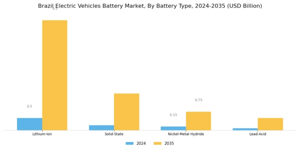 Brazil Electric Vehicles Battery Market Segment Image 0