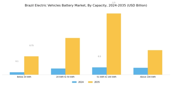 Brazil Electric Vehicles Battery Market Segment Image 3