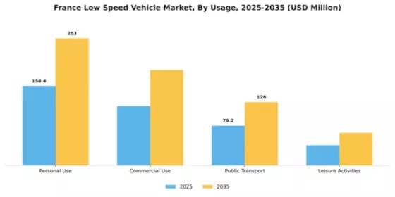 France Low Speed Vehicle Market Segment Image 3