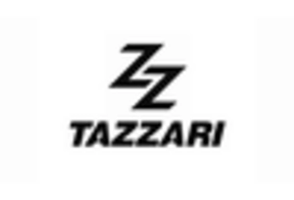 Italy Low Speed Vehicle Market key player