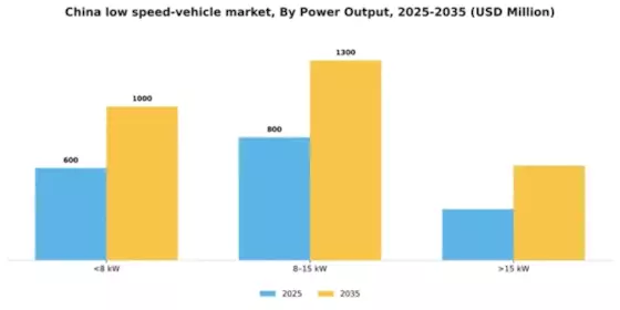 China Low Speed Vehicle Market Segment Image 1