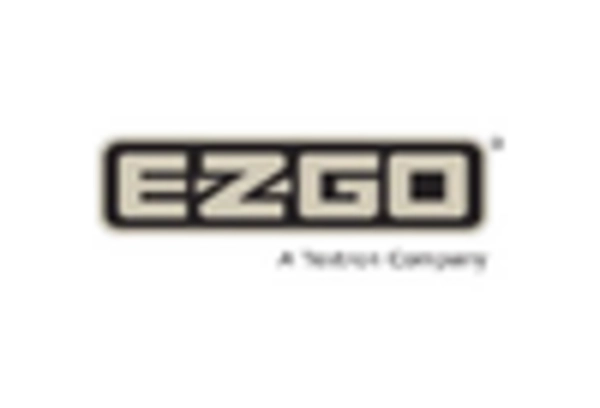 China Low Speed Vehicle Market key player