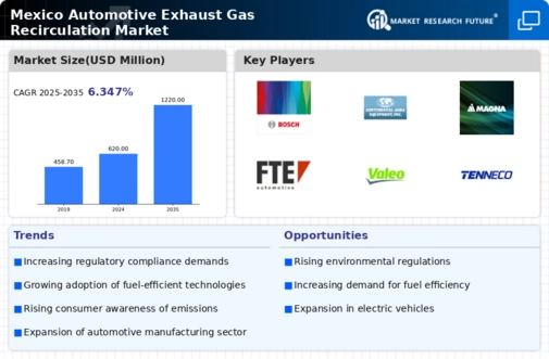 Mexico Automotive Exhaust Gas Recirculation Market Infographic