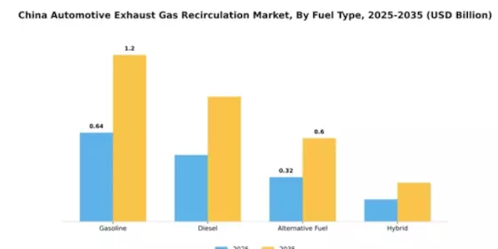 China Automotive Exhaust Gas Recirculation Market Segment Image 3