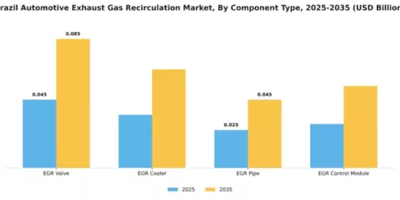 Brazil Automotive Exhaust Gas Recirculation Market Segment Image 1