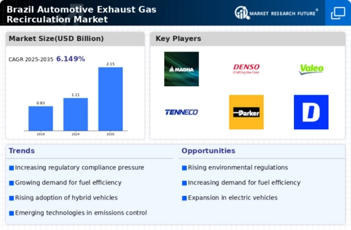 Brazil Automotive Exhaust Gas Recirculation Market Infographic