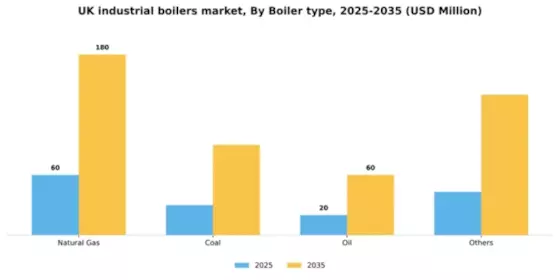UK Industrial Boilers Market Segment Image 0