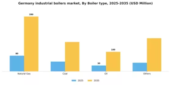 Germany Industrial Boilers Market Segment Image 0