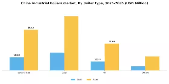 China Industrial Boilers Market Segment Image 0
