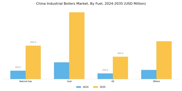 China Industrial Boilers Market Segment Image 0