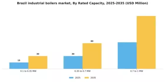 Brazil Industrial Boilers Market Segment Image 2