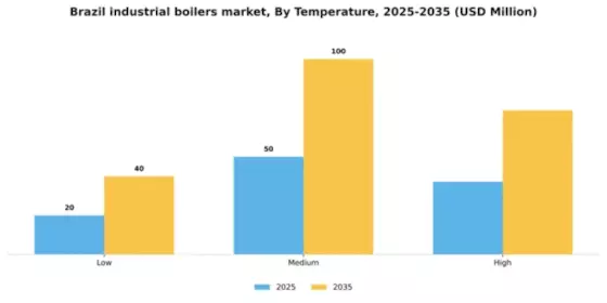 Brazil Industrial Boilers Market Segment Image 3
