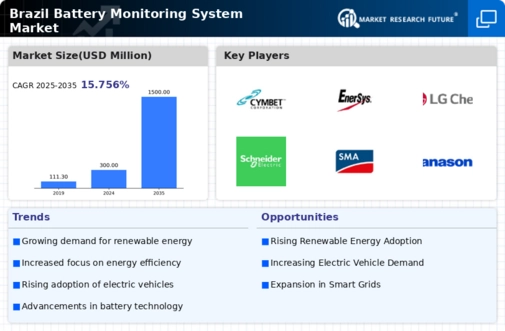 Brazil Battery Monitoring System Market Infographic