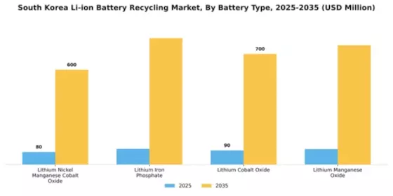 South Korea Li Ion Battery Recycling Market Segment Image 1