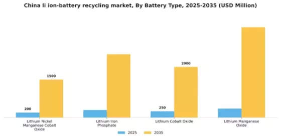 China Li Ion Battery Recycling Market Segment Image 1