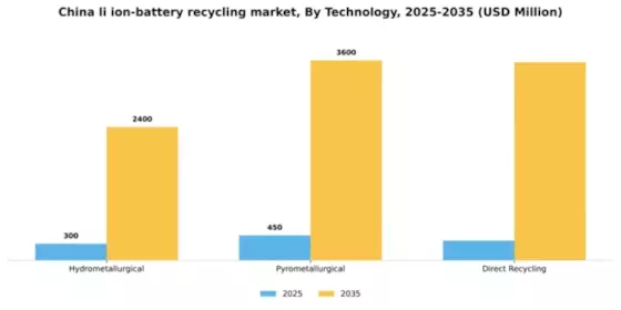 China Li Ion Battery Recycling Market Segment Image 3