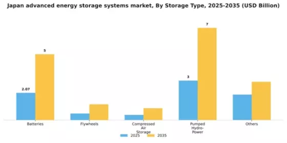 Japan Advanced Energy Storage Systems Market Segment Image 1