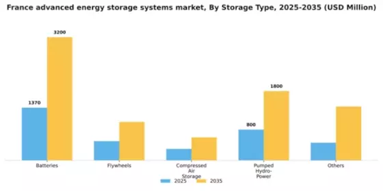 France Advanced Energy Storage Systems Market Segment Image 1
