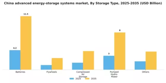 China Advanced Energy Storage Systems Market Segment Image 1
