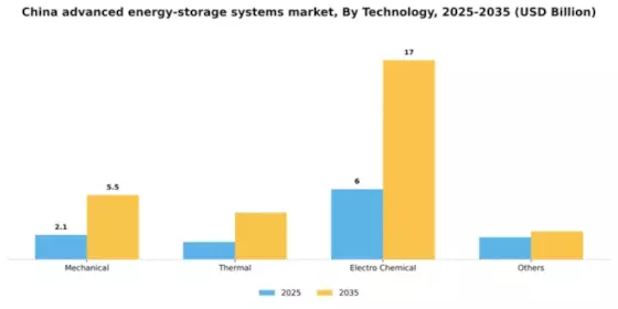 China Advanced Energy Storage Systems Market Segment Image 2