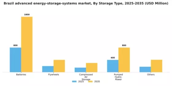 Brazil Advanced Energy Storage Systems Market Segment Image 1