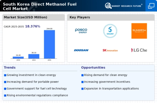 South Korea Direct Methanol Fuel Cell Market Infographic