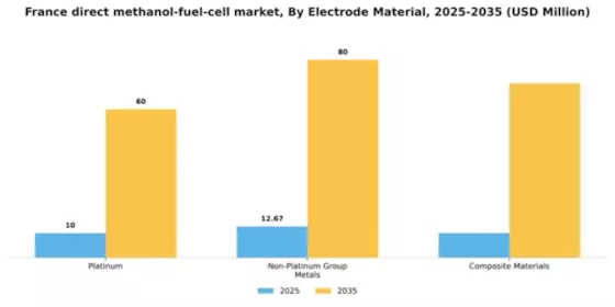 France Direct Methanol Fuel Cell Market Segment Image 1